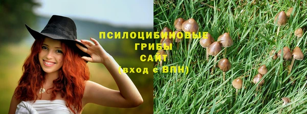 MDMA Premium VHQ Аркадак