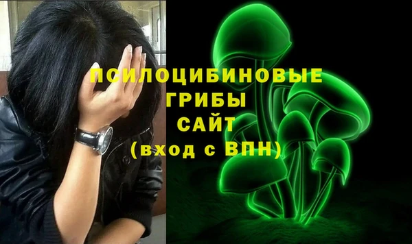 эйфоретик Баксан