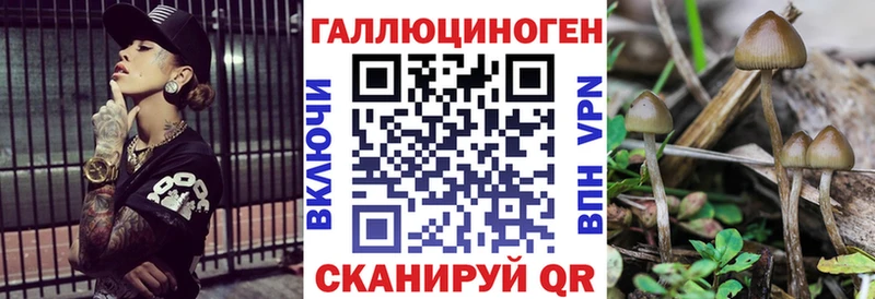 Псилоцибиновые грибы мухоморы  где продают наркотики  Ликино-Дулёво 