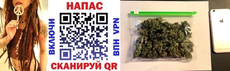 Бошки Шишки ГИДРОПОН Ликино-Дулёво