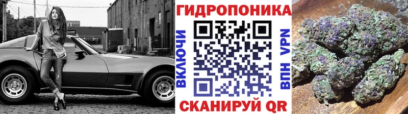 наркотики  Ликино-Дулёво  Марихуана OG Kush 